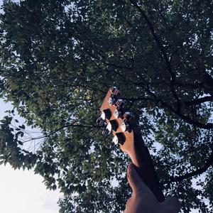 巾国老年人性生活乱伦一级黄片
